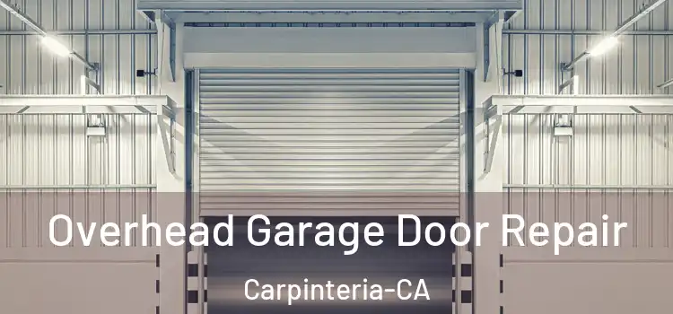 Overhead Garage Door Repair Carpinteria-CA
